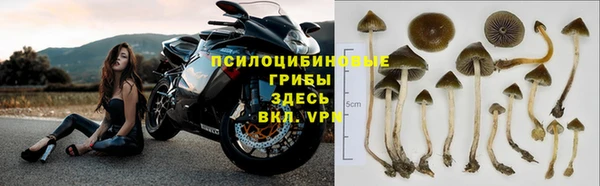 МДПВ Белоозёрский