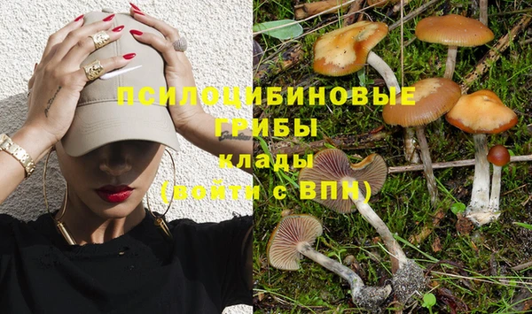 тгк Белокуриха